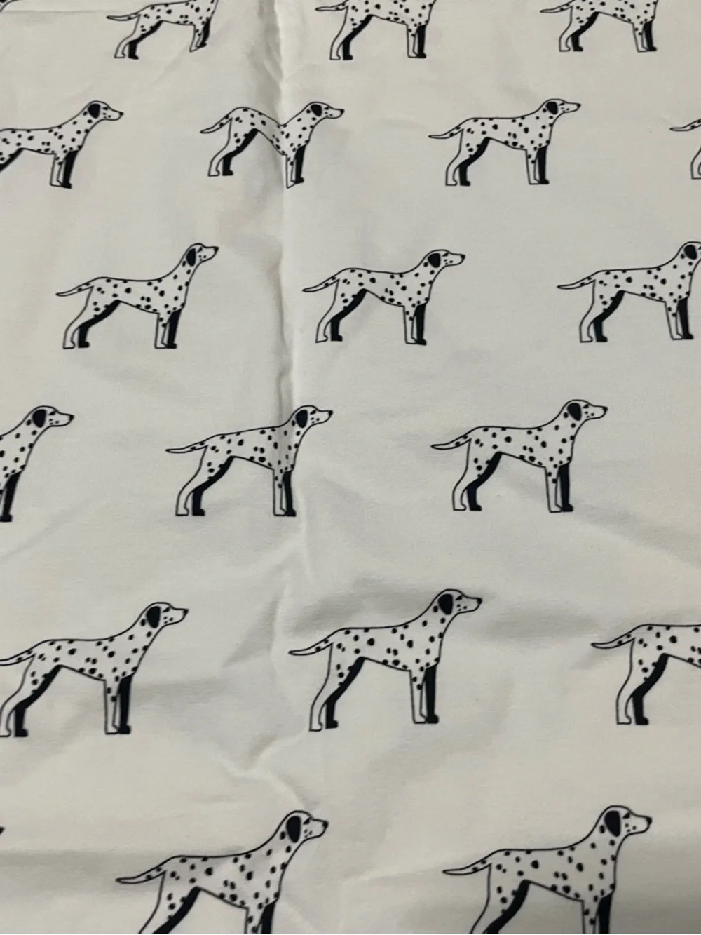 Monica + Andy Dalmatian Print Organic Cotton Coming Home Baby Swaddle Blanket